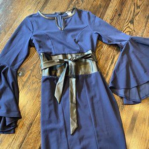 VENUS BLUE SASSY DRESS